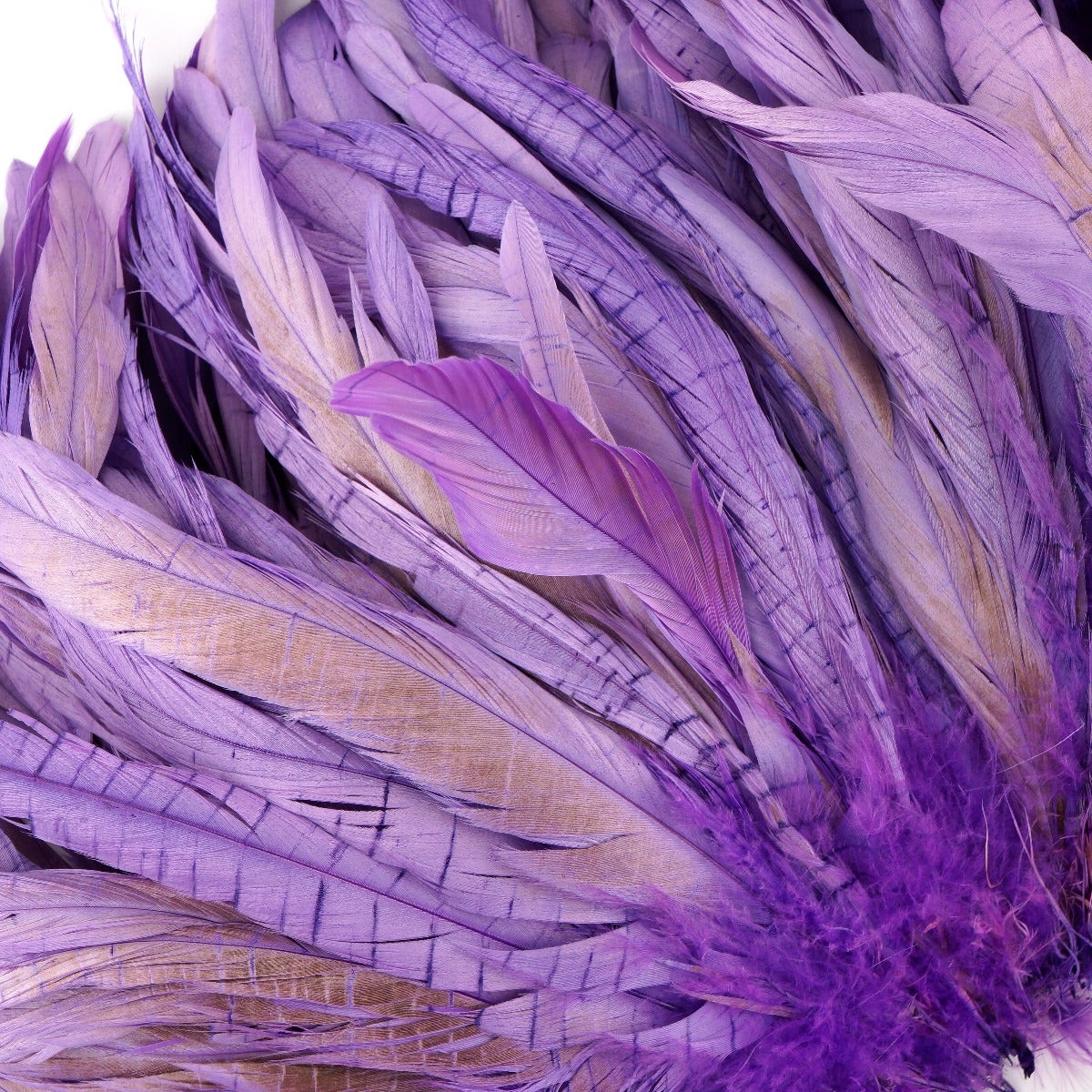 ROOSTER COQUE TAILS FEATHERS BLEACH DYED 7-10” - 1/2 Yard ( 18") - Flourescent Lilac