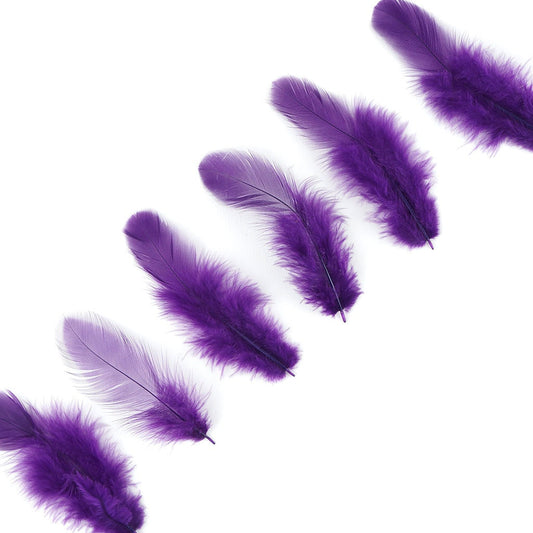 Rooster Plumage-White-Dyed - Purple