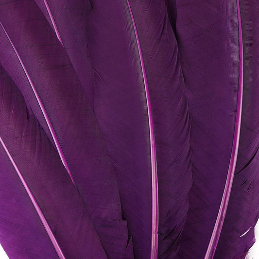 Turkey Quills Dyed Feathers - Purple