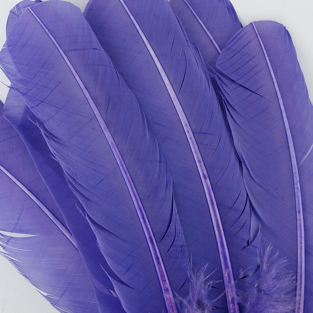 Turkey Quills Selected-Lavender