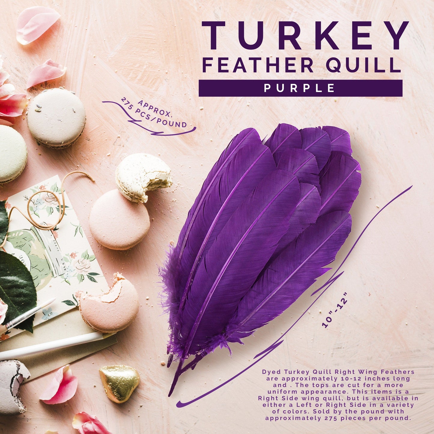 Turkey Quills by Pound - Right Wing - Purple