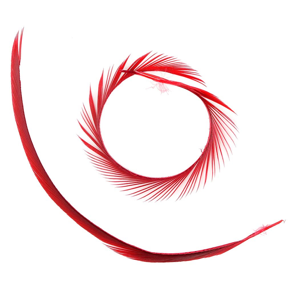 Goose Biot Feathers-Dyed - Red