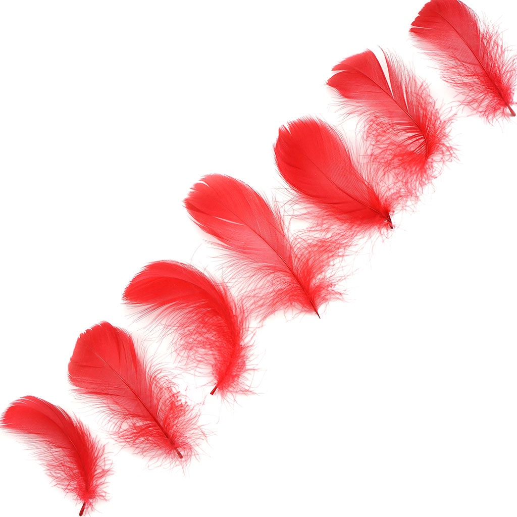 Bulk Goose Coquille Feathers Dyed - Red - 1/4 lb