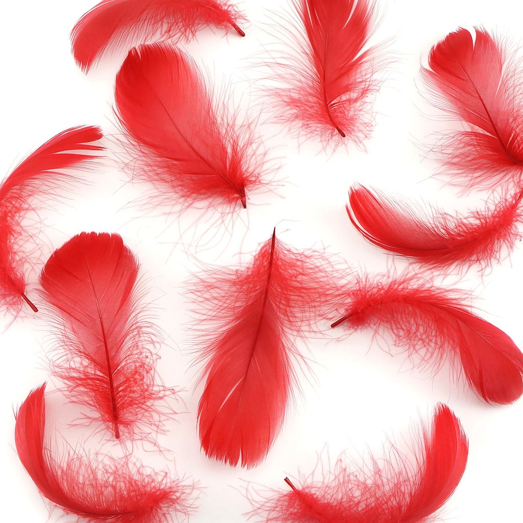 Bulk Goose Coquille Feathers Dyed - Red - 1/4 lb