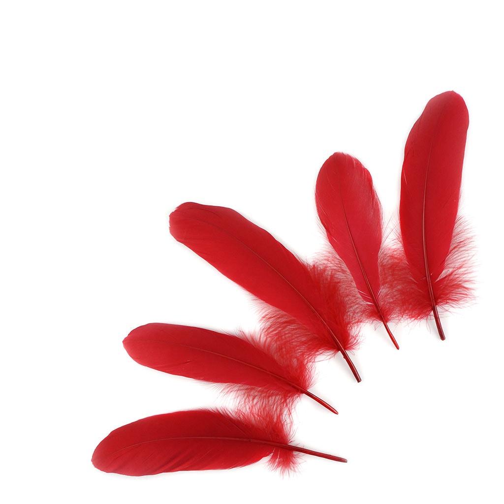 Bulk Goose Pallet Feathers 6-8 Inch - 1/4 LB - Red