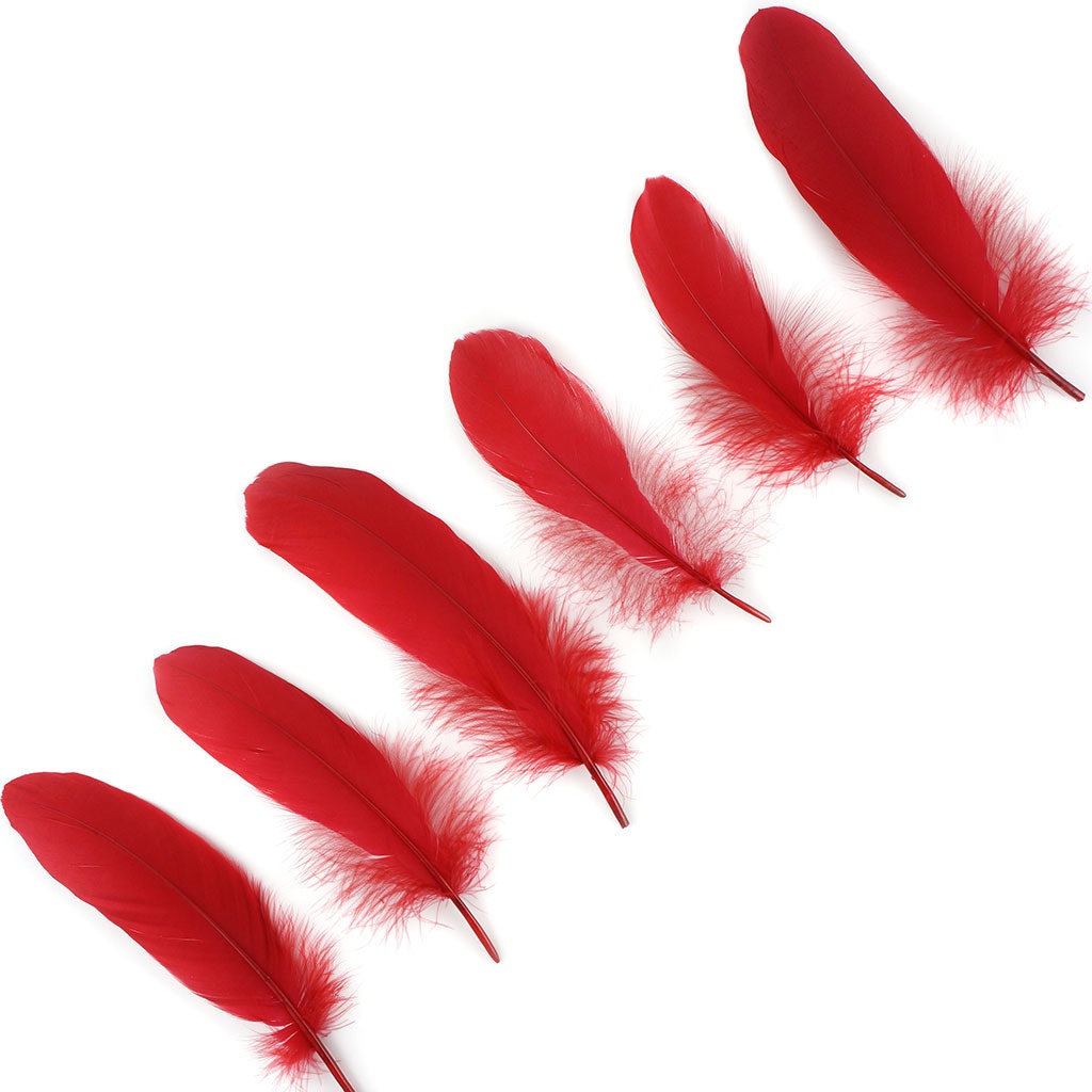 Bulk Goose Pallet Feathers 6-8 Inch - 1/4 LB - Red