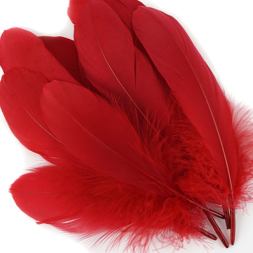 Bulk Goose Pallet Feathers 6-8 Inch - 1/4 LB - Red