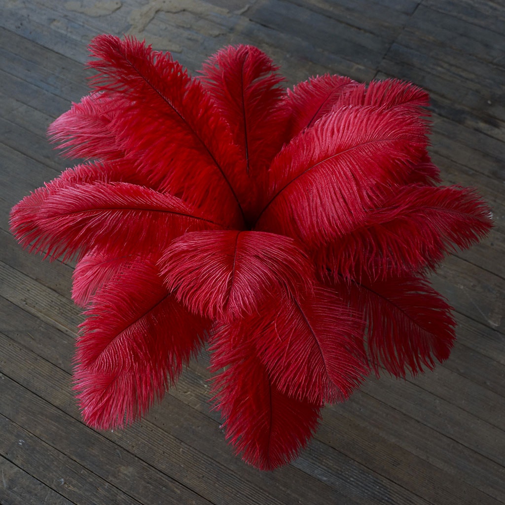 Ostrich Eiffel Tower Centerpiece Red w/White Vase