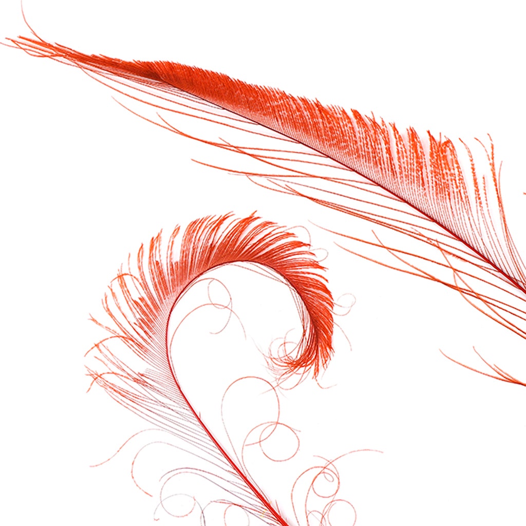 Peacock Swords Bleached/Dyed - Red