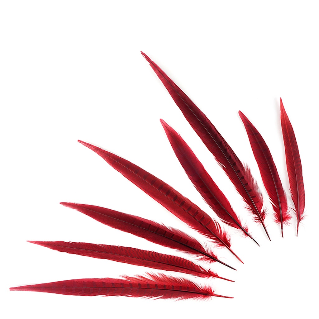 Assorted Pheasant Tails Dyed - Red