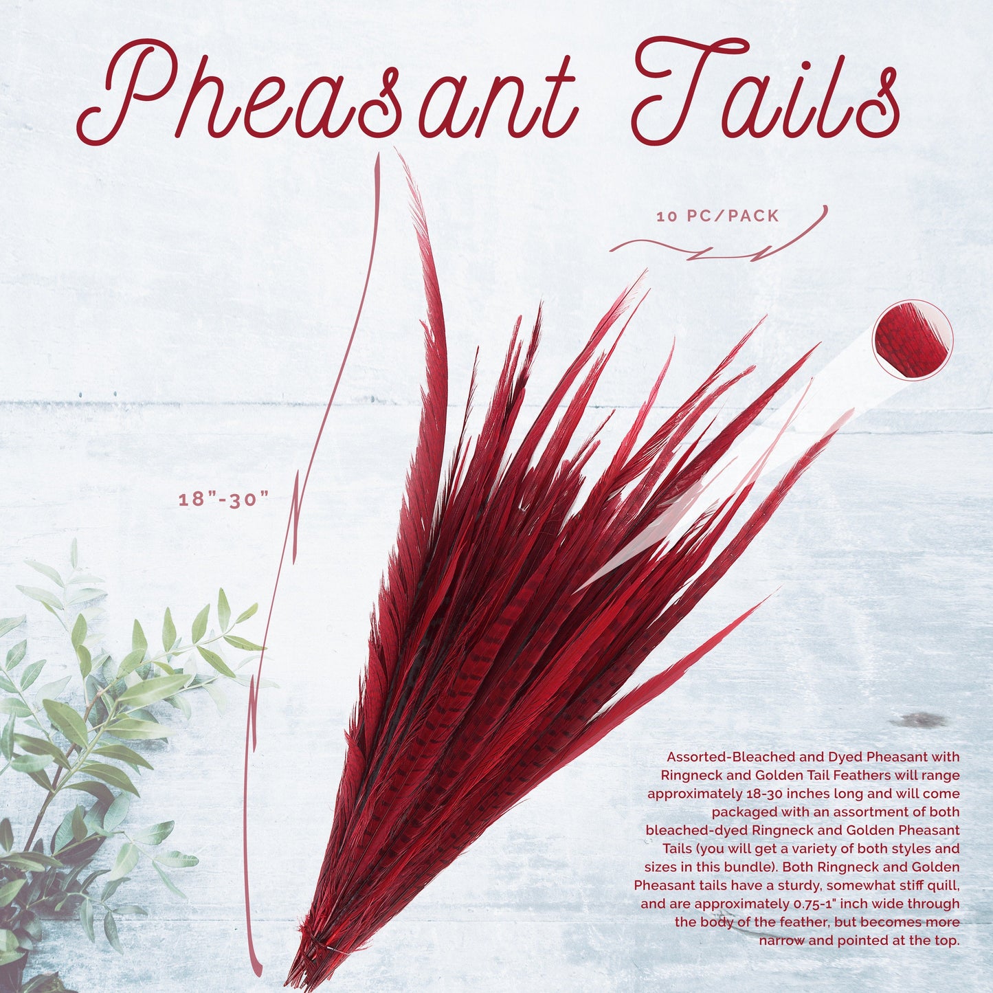 Assorted Pheasant Tails Dyed - Red