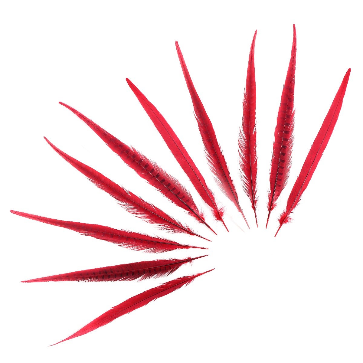 Zucker Feather - Pheasant Tails Assorted Bleached - Red