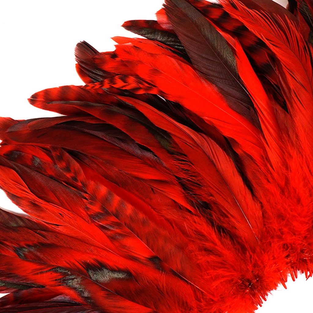 Rooster Coque Tails-Chinchilla - Red - 7-10" - 1/4 lb (1.25 yards)