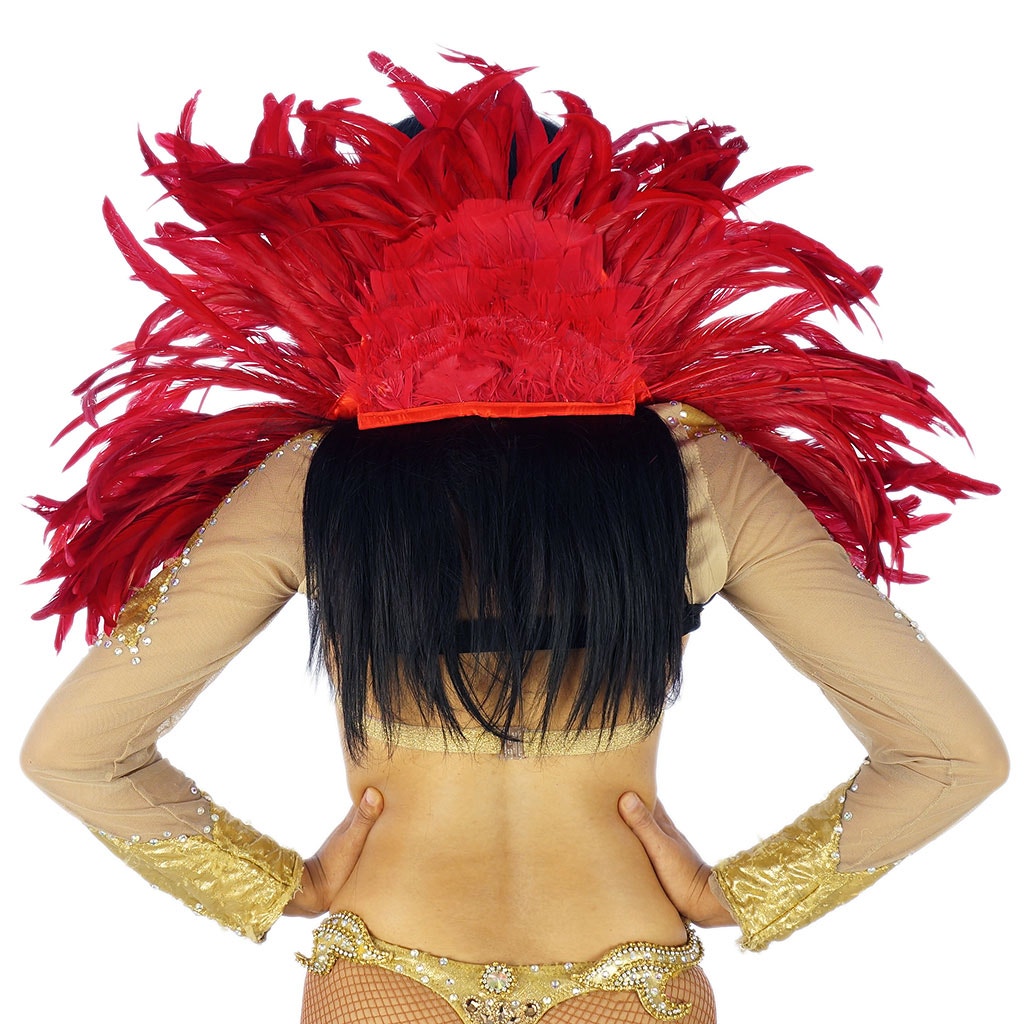 Carnival Feather Collar - Red