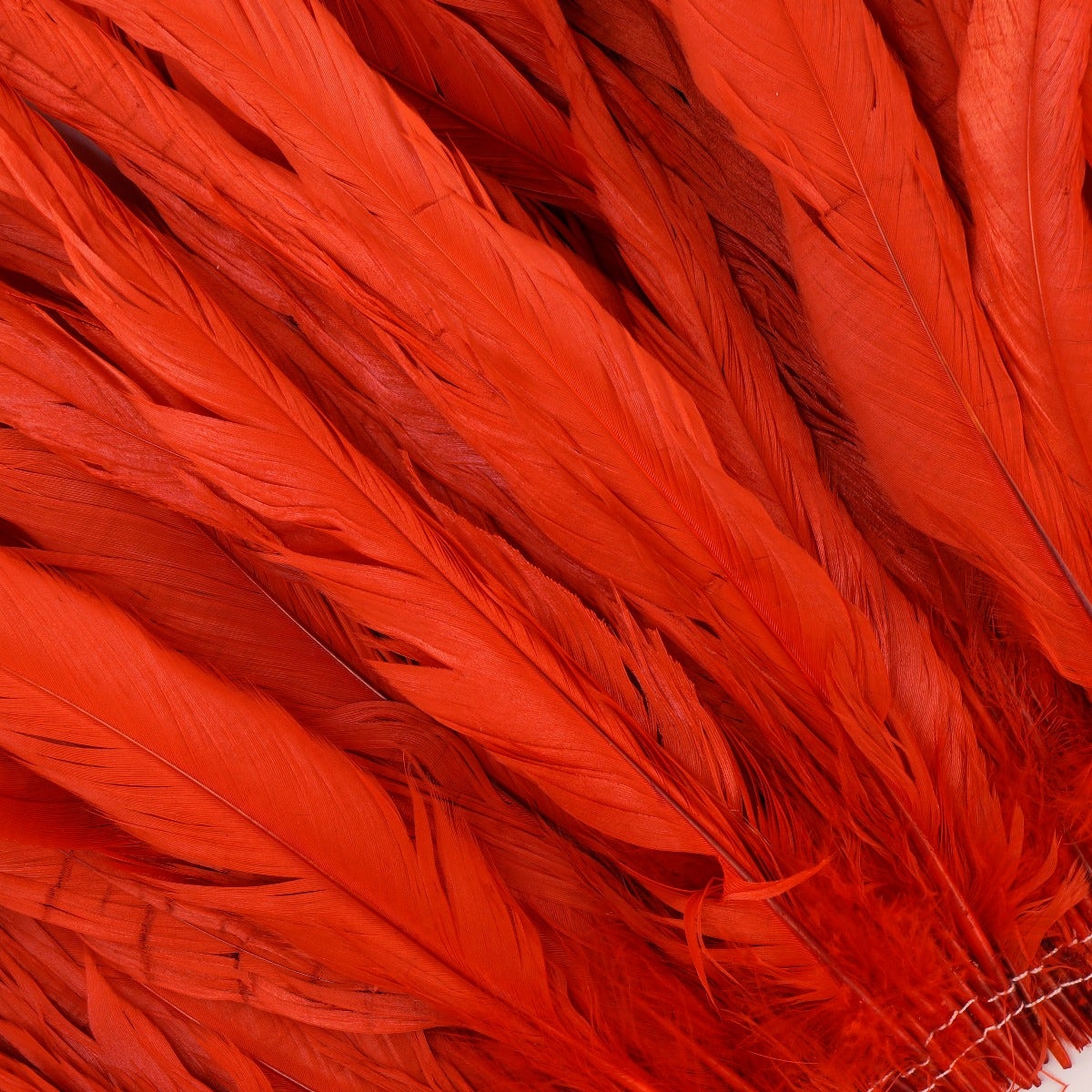 ROOSTER COQUE TAILS FEATHERS BLEACH DYED 7-10” - 1/2 Yard ( 18" ) - Red