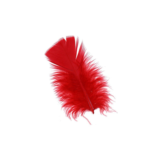 Loose Turkey Plumage Feathers - 1/4 lb - Red