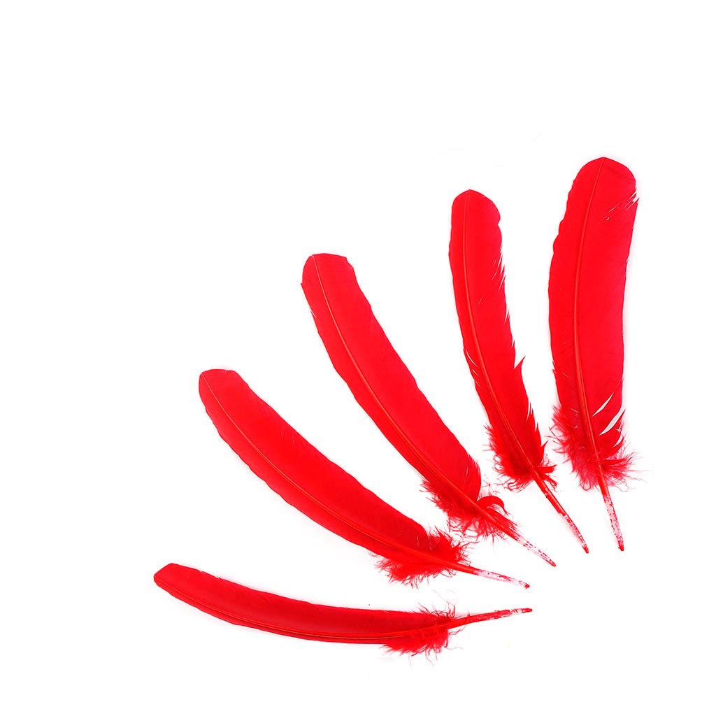 Turkey Quills Selected - Red