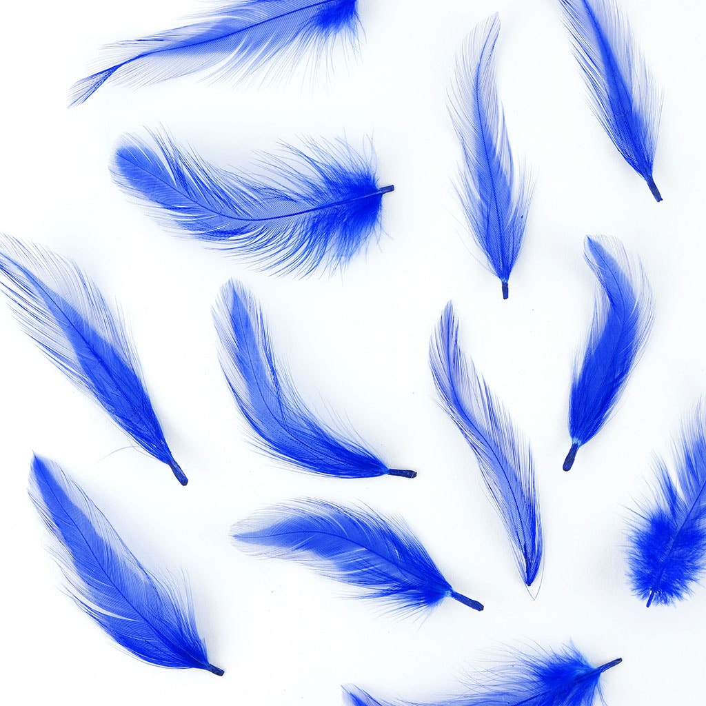 Rooster Hackle-Dyed - Royal