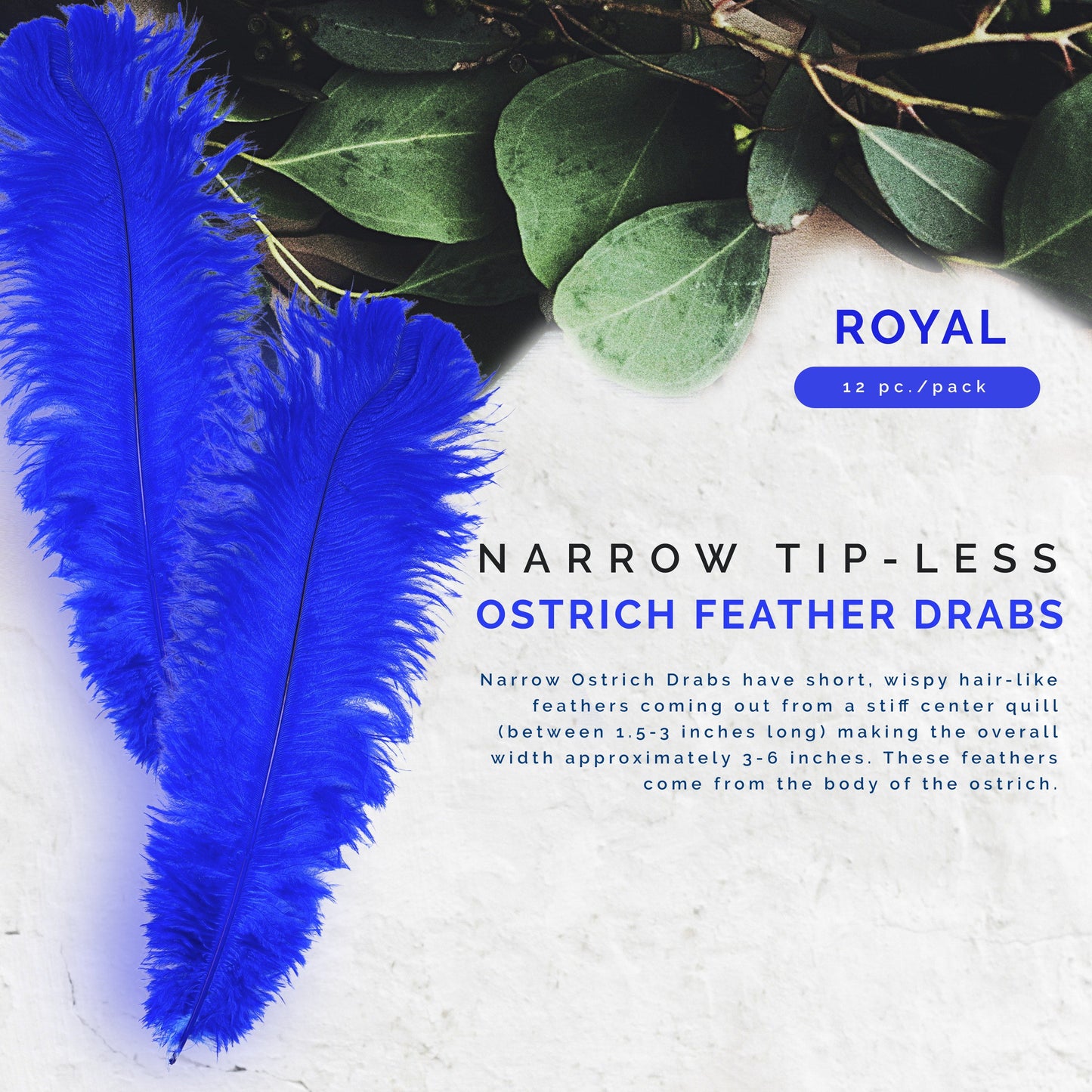 Ostrich Feathers-Narrow Drabs - Royal