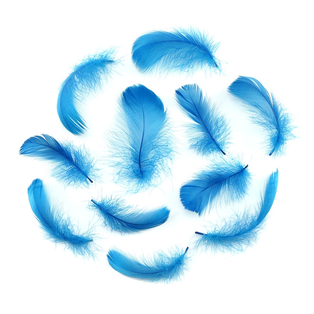 Dark Turquoise Loose Goose Coquille Feathers 3-5 inch