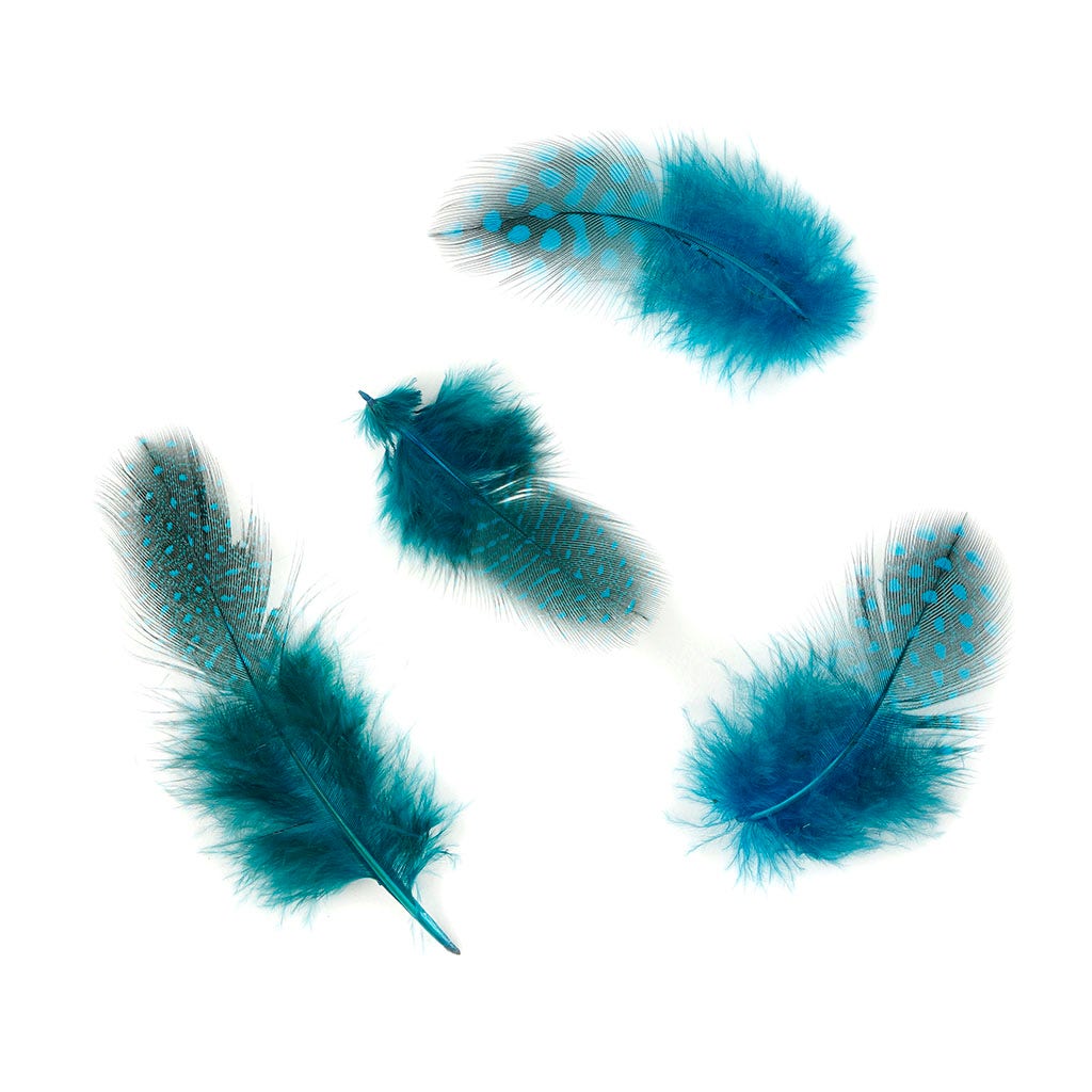 Bulk Guinea Hen Plumage - 1/4 lb - Dark Turquoise