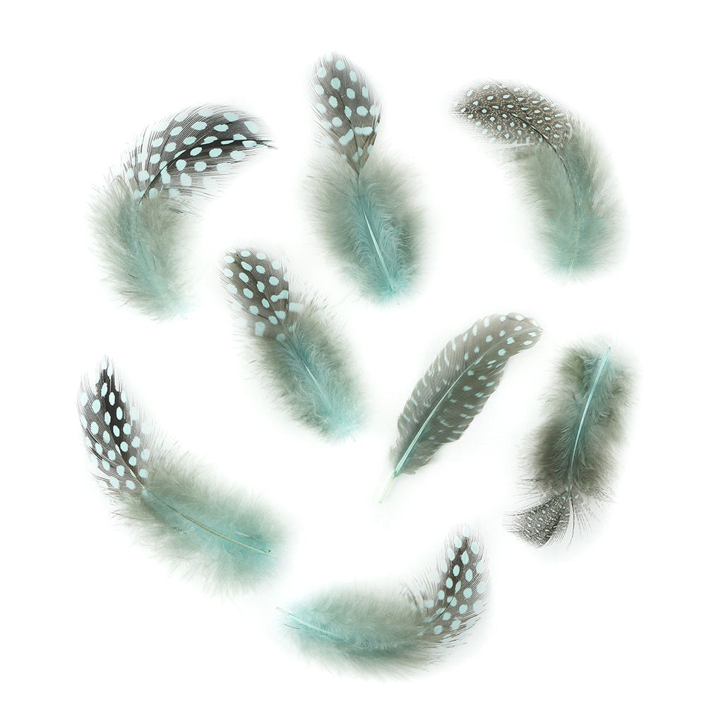 Bulk Guinea Hen Plumage - 1/4 lb - Light Turquoise