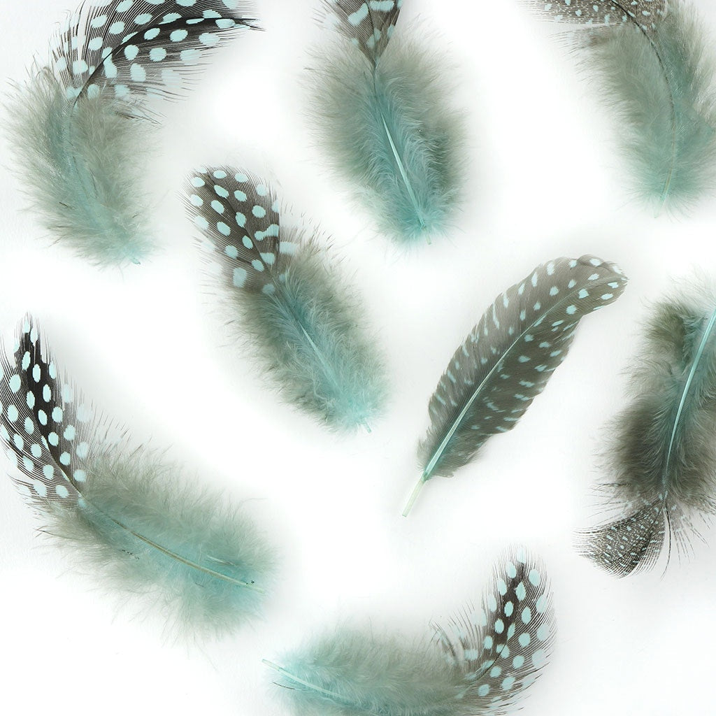 Bulk Guinea Hen Plumage - 1/4 lb - Light Turquoise