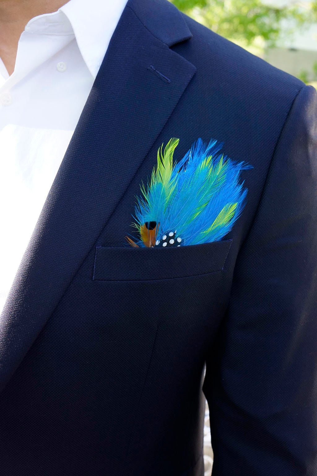 Feather Corsage-Hackle-Pheasant-Guinea Plumage - LM/LT/N