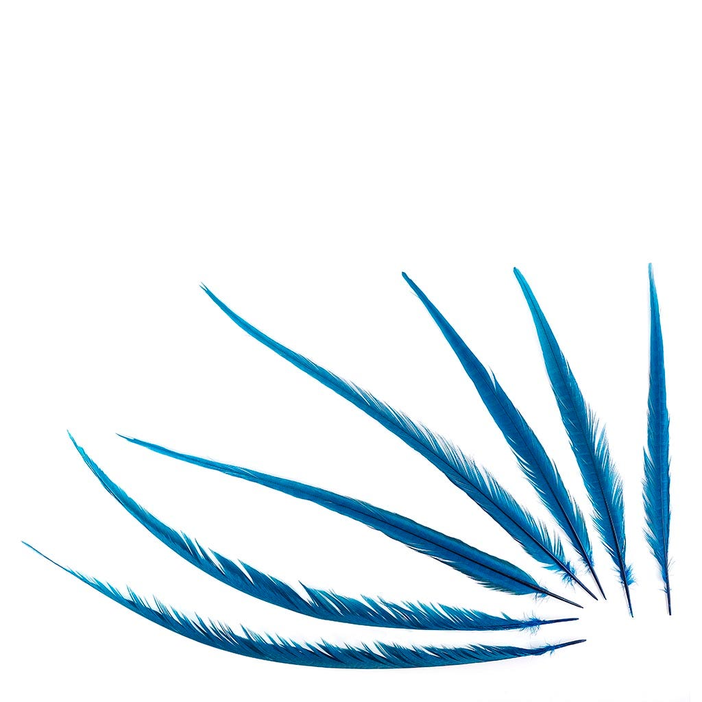 Assorted Pheasant Tails Dyed - Dark Turquoise