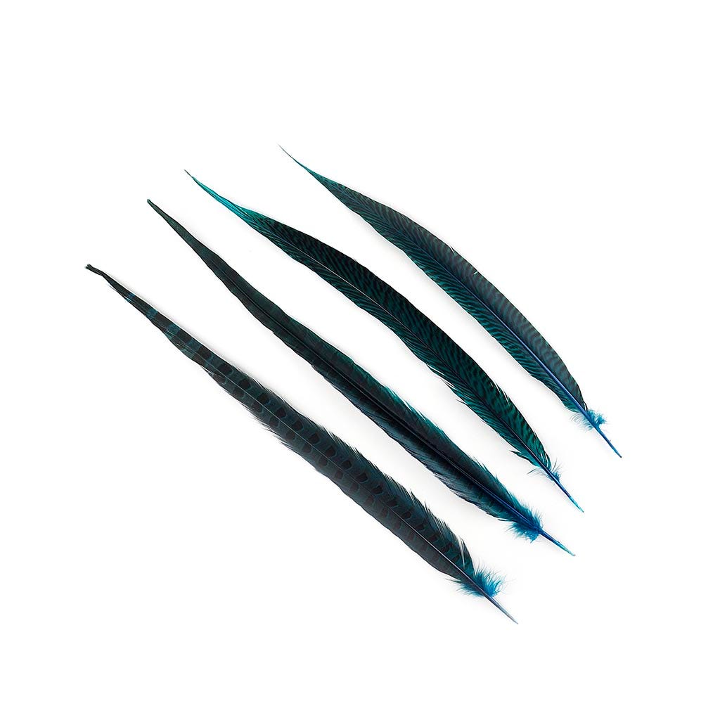 Pheasant Tails Assorted Bleached - Dark Turquoise