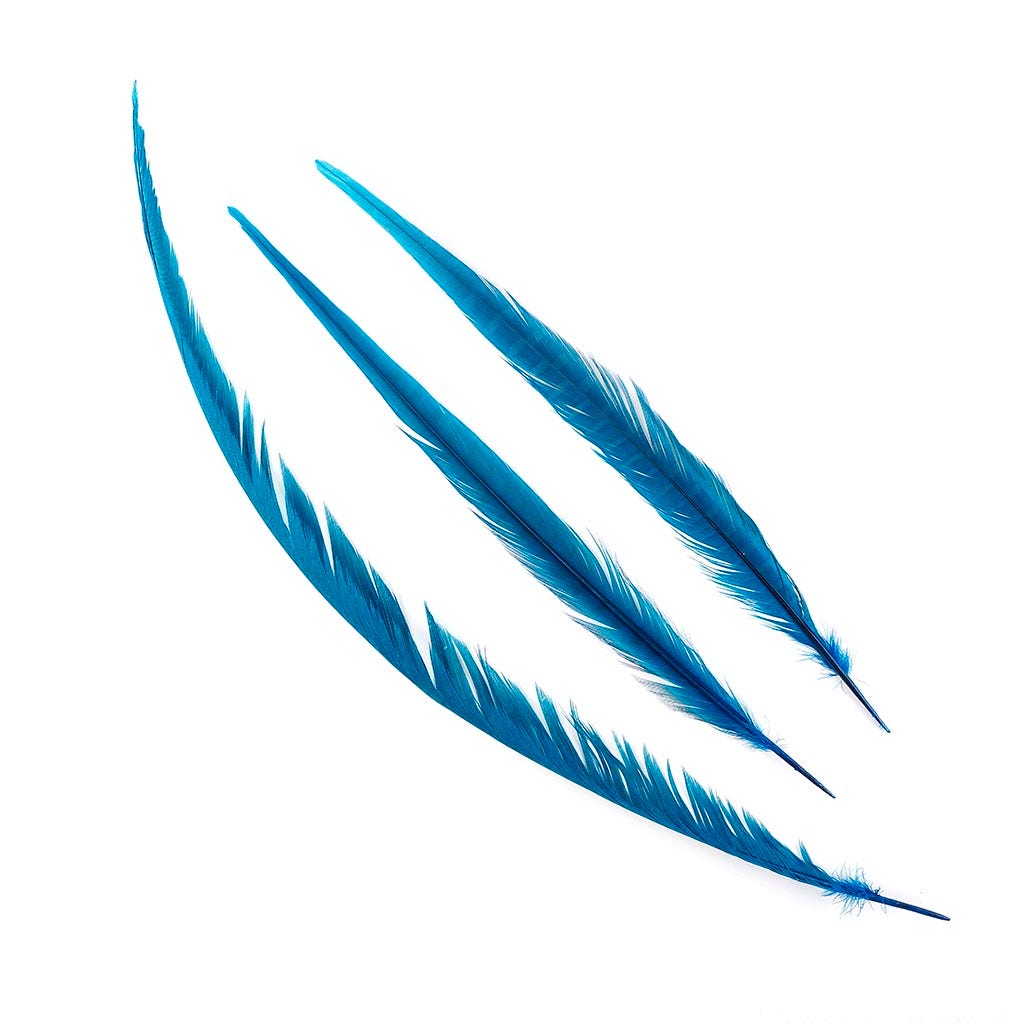 Pheasant Tails Assorted Bleached - Dark Turquoise