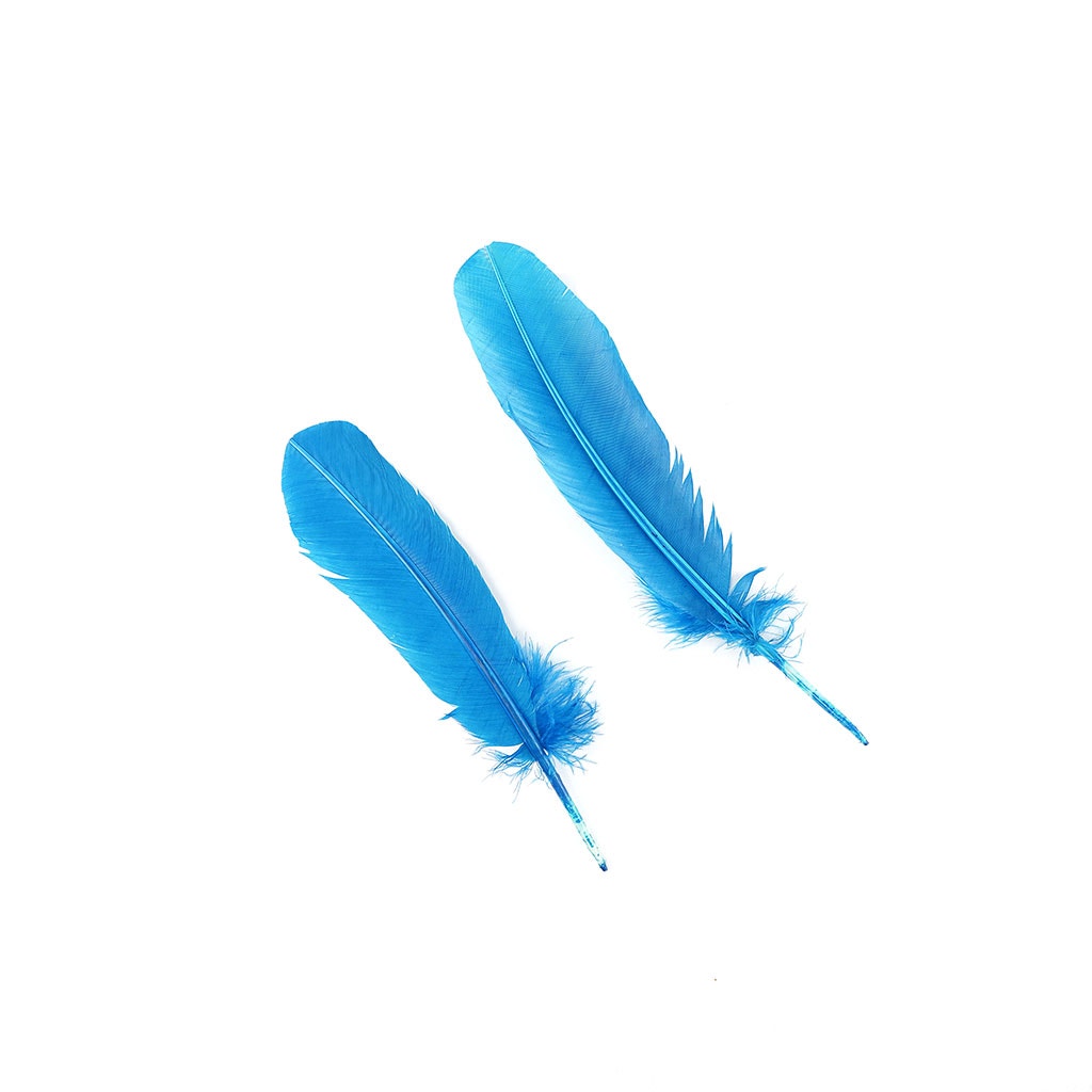 4 PC PKG Large Turkey Quills High-Quality Dyed Feathers 10-12" - Dark Turquoise