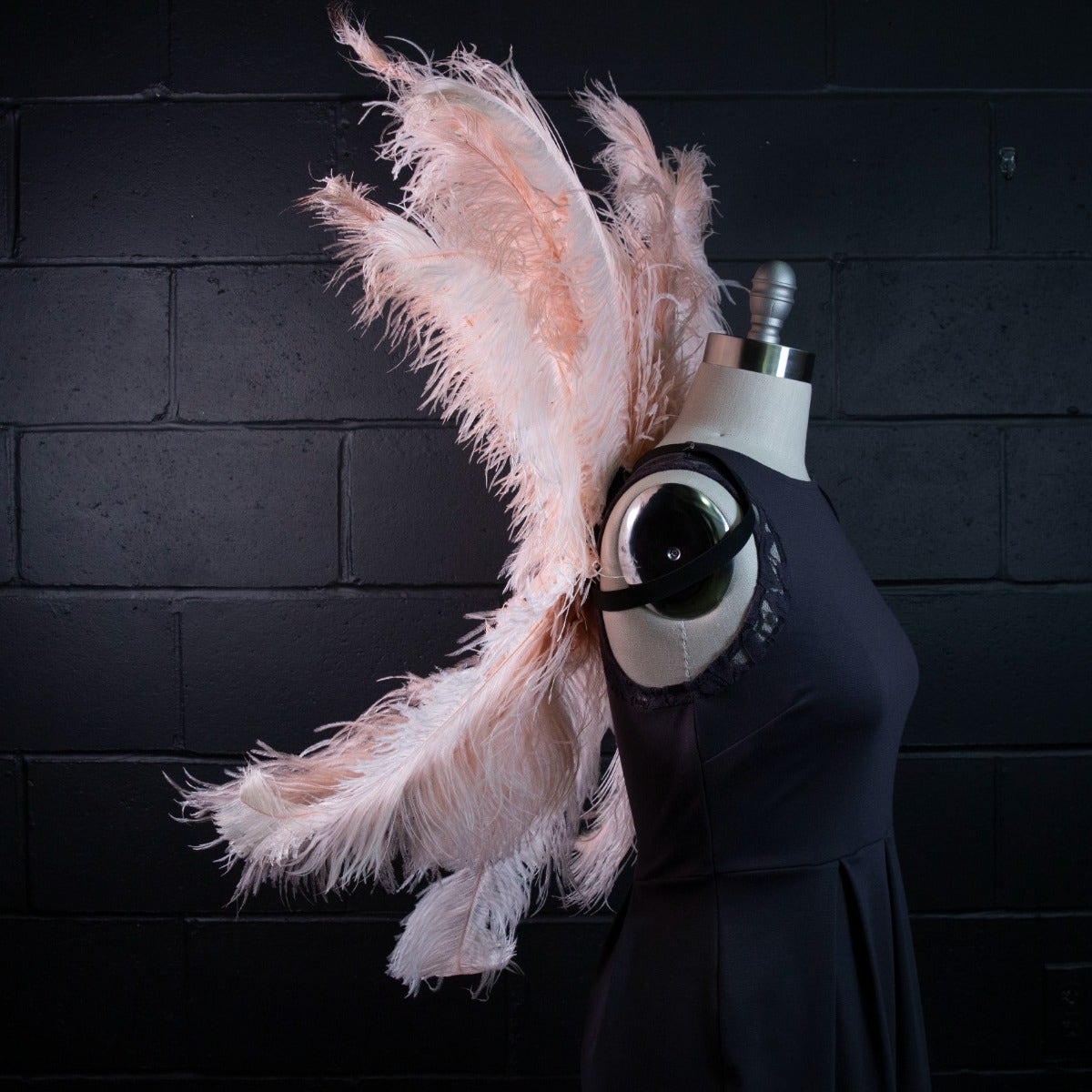 Medium Upcycled Ostrich Feather Costume Wings - Champagne