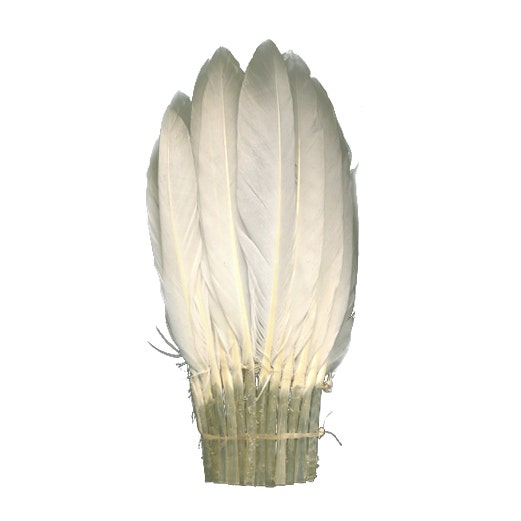 Duck Chockett Fan - White