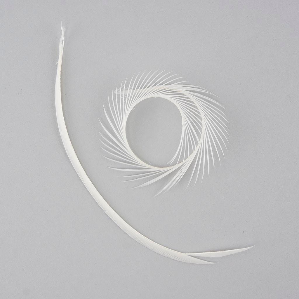 Goose Biot Feathers-Dyed - White