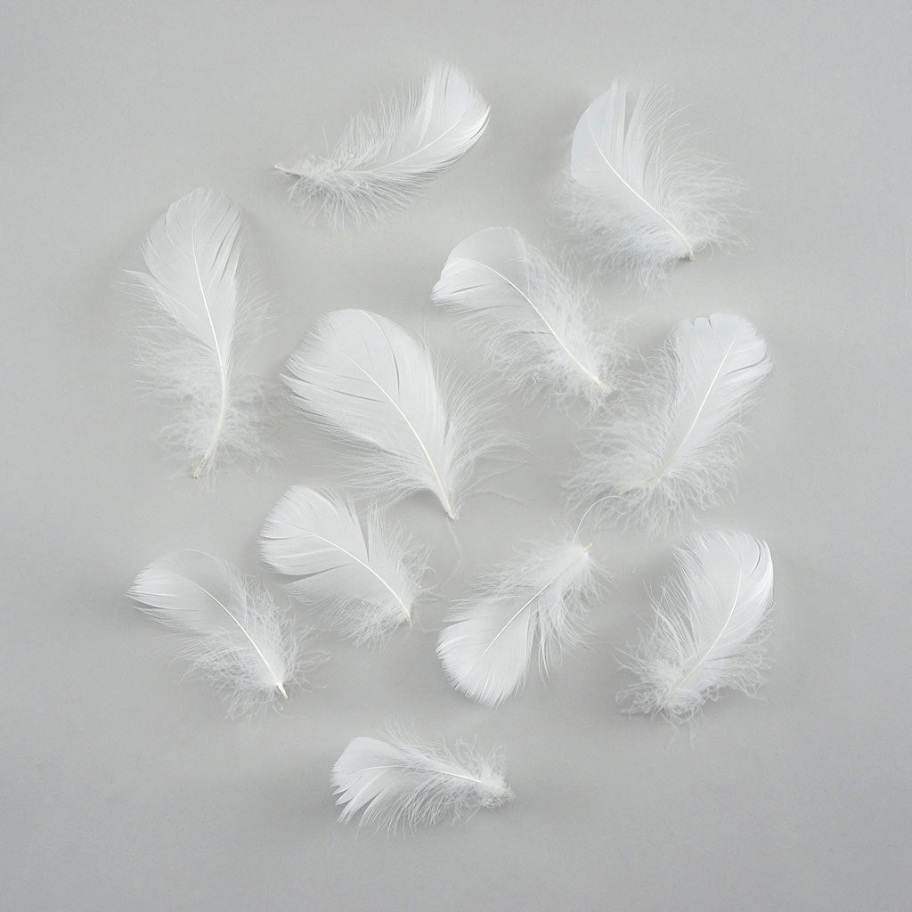 Bulk Goose Coquille Feathers Dyed - White - 1/4 lb