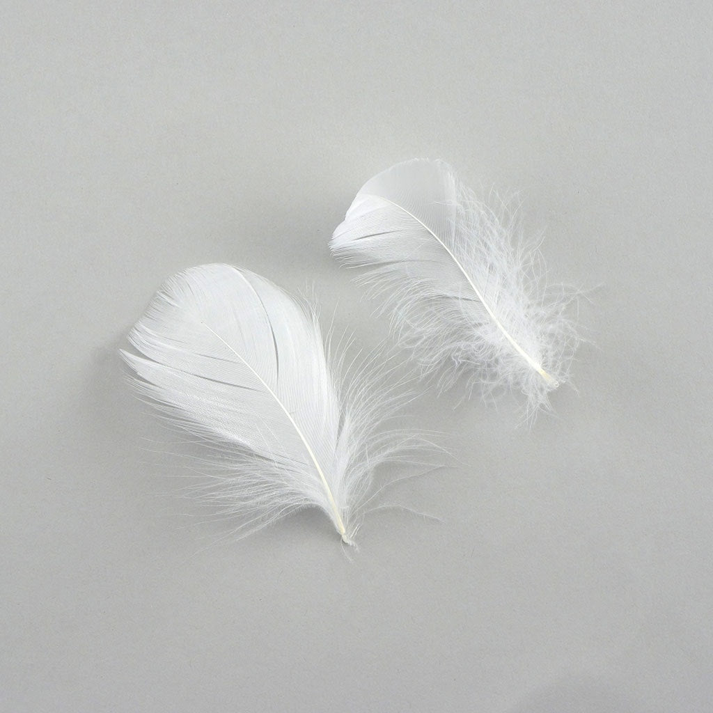 Bulk Goose Coquille Feathers Dyed - White - 1/4 lb for Sale
