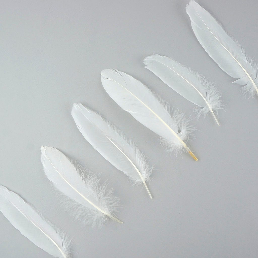 Bulk Goose Satinette Feathers Dyed - White - 1/4 lb