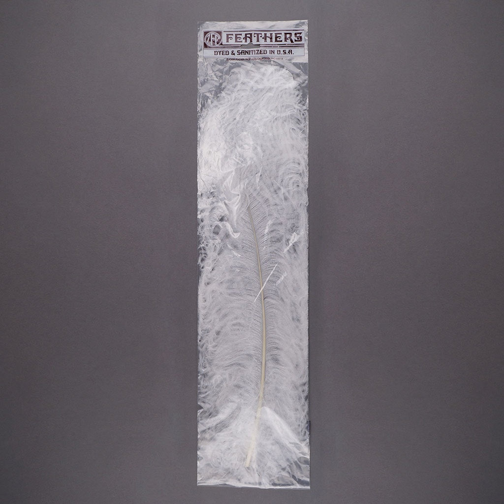 Large Ostrich Feathers - 20-25" Prime Femina Plumes - White