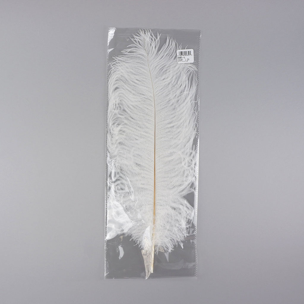 Large Ostrich Feathers - 17"+ Drabs - White