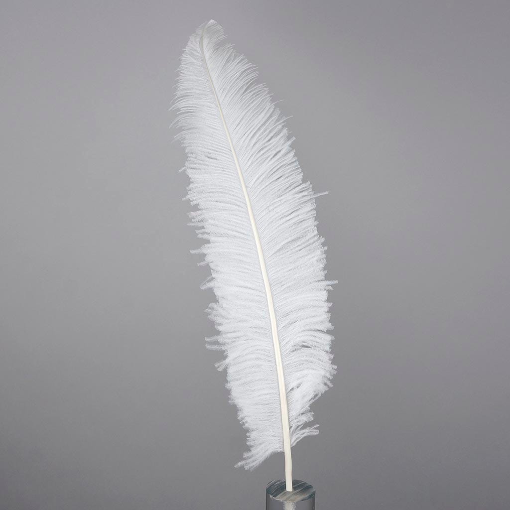 Ostrich Spad Feathers Trimmed w/Natural Markings White