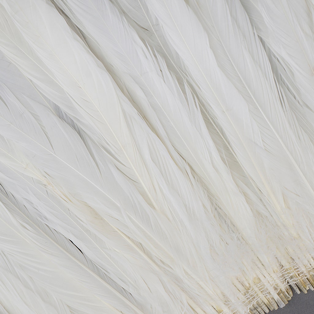 Rooster Coque Tails White-Dyed - White