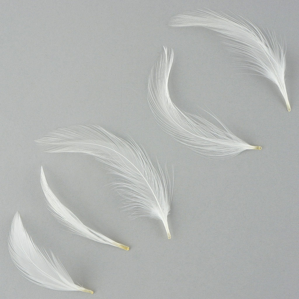 White Feathers, Craft Feathers, Natural Feathers, Loose Feathers