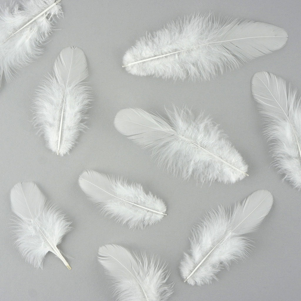 Loose Rooster Plumage Dyed - White