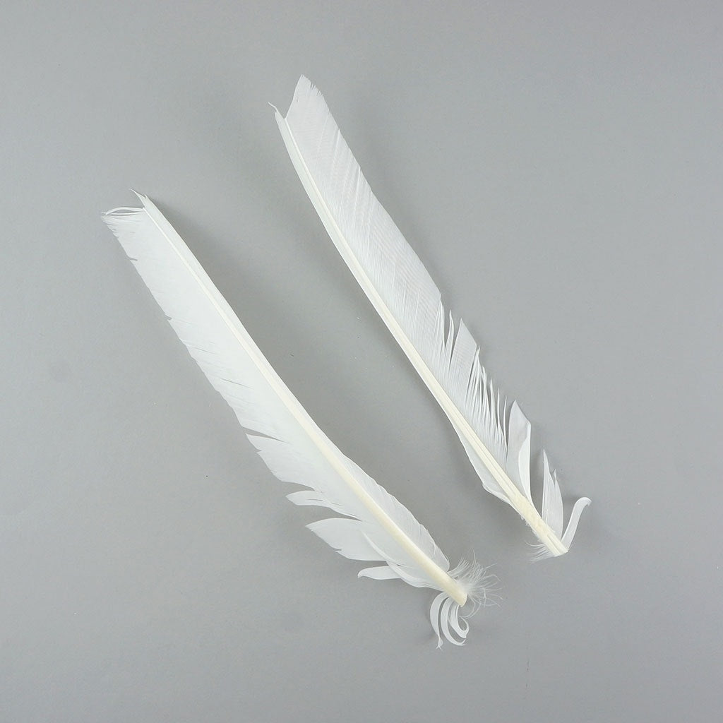 Turkey Pointers Left Wing 1/4 LB - White