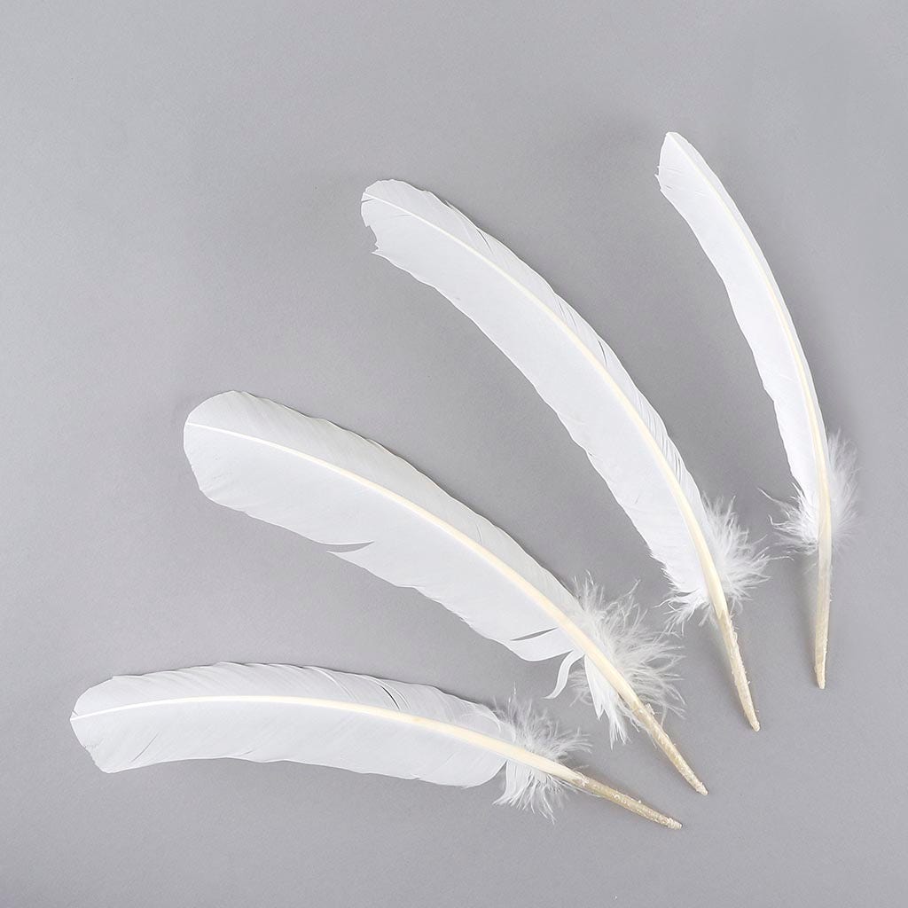 Turkey Quills Dyed - White