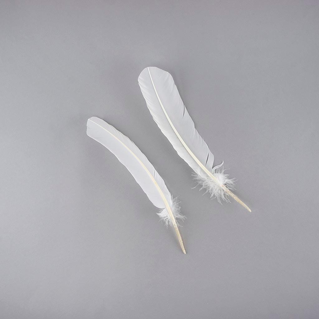 Turkey Quills Dyed - White