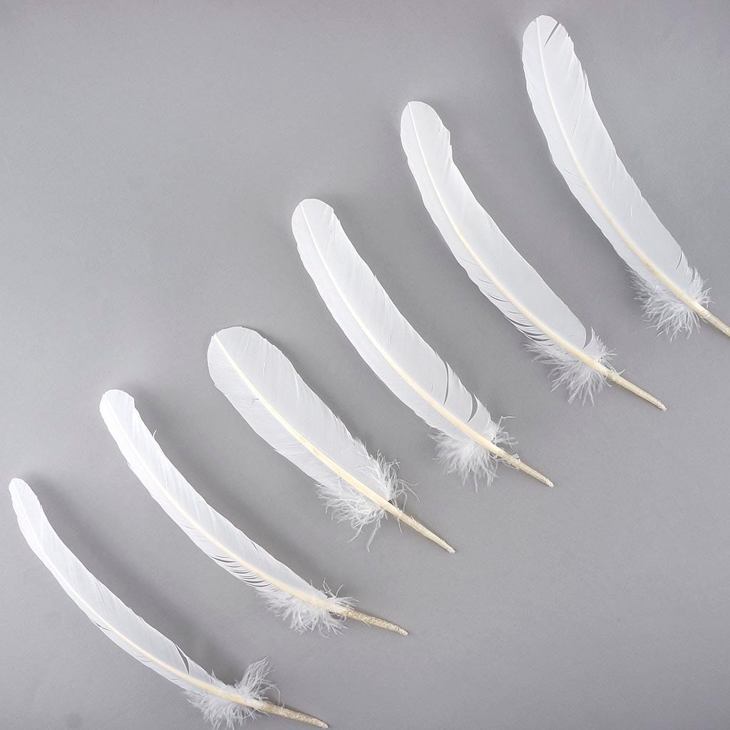 Turkey Quills by Pound - Right Wing - White