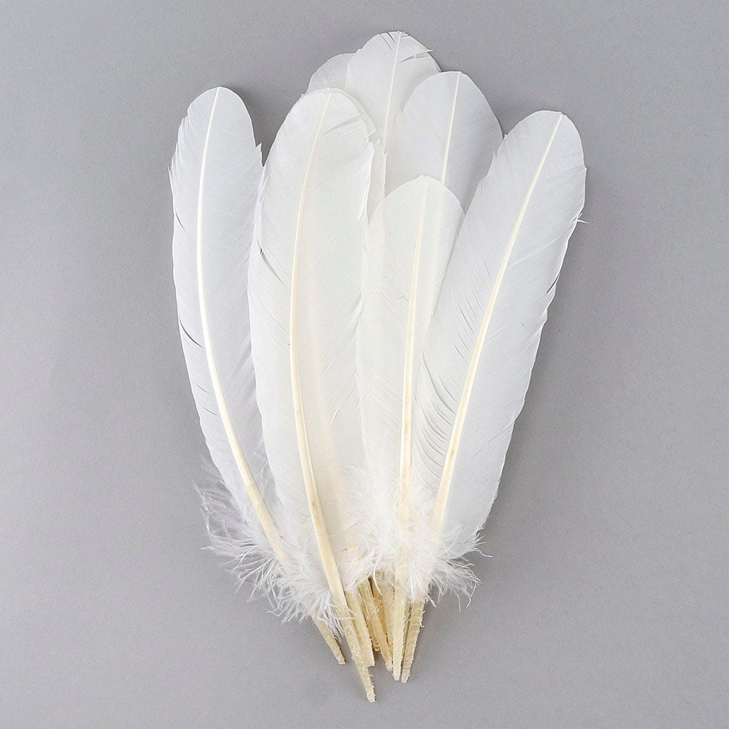 Natural Duck Pointer Feathers - Bulk lb