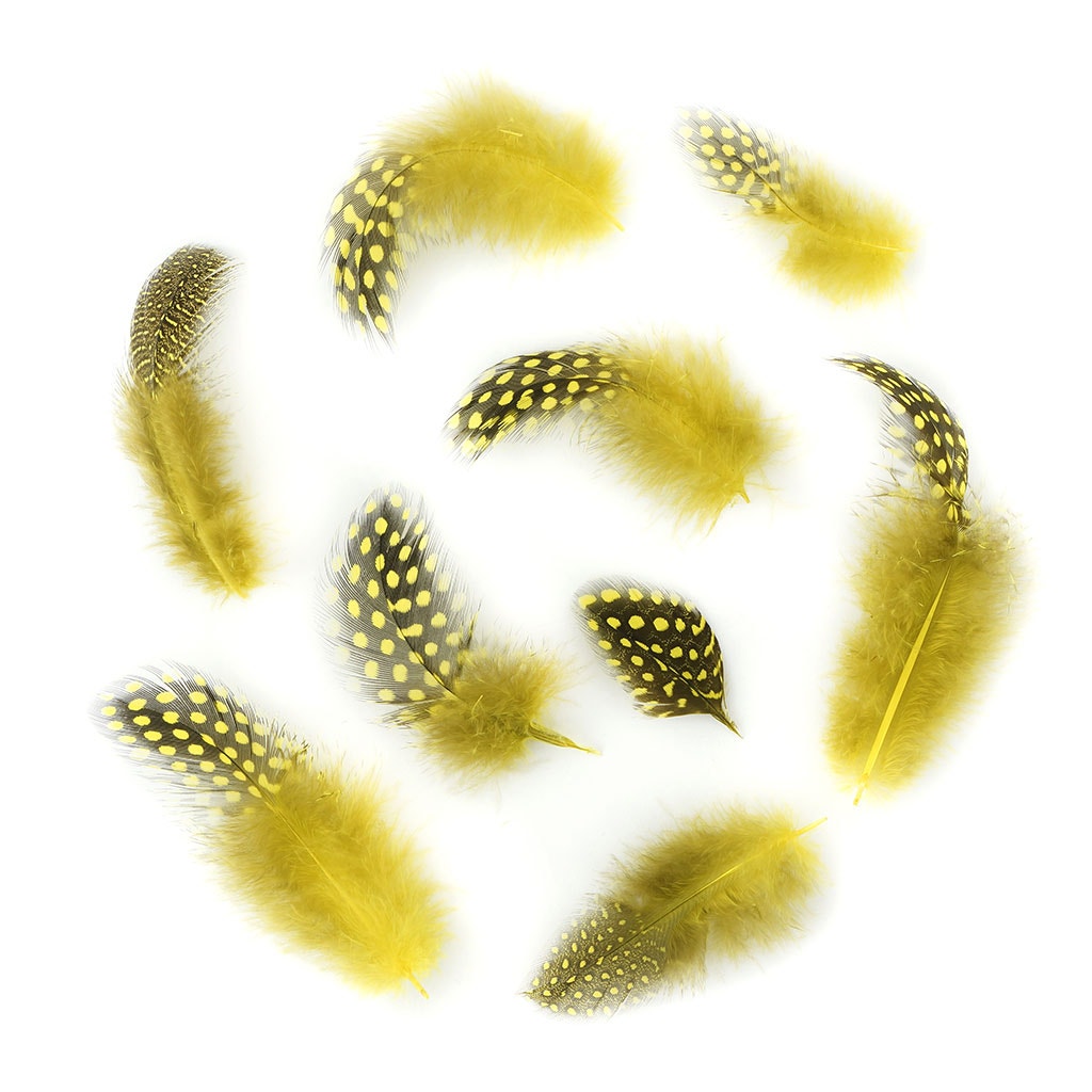 Bulk Guinea Hen Plumage 1/4 lb - Fluorescent Yellow